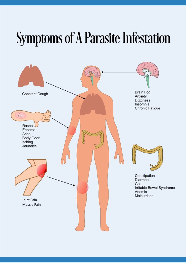 Normalcolon Symptoms Of Parasites Treat Parasitic Infections Normalcolon